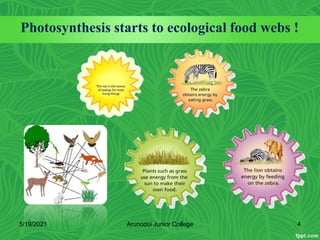 Photosynthesis starts to ecological food webs !
5/19/2021 4
Arunodoi Junior College
 
