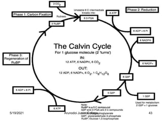 5/19/2021 43
Arunodoi Junior College
 