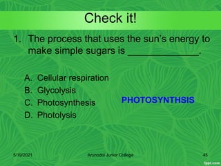 Check it!
1. The process that uses the sun’s energy to
make simple sugars is _____________.
A. Cellular respiration
B. Glycolysis
C. Photosynthesis
D. Photolysis
5/19/2021 45
Arunodoi Junior College
PHOTOSYNTHSIS
 
