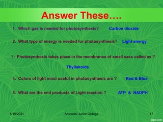 Answer These….
5/19/2021 Arunodoi Junior College 47
1. Which gas is needed for photosynthesis?
2. What type of energy is needed for photosynthesis?
3. Photosynthesis takes place in the membranes of small sacs called as ?
4. Colors of light most useful in photosynthesis are ?
5. What are the end products of Light reaction ?
Carbon dioxide
Light energy
Thyllakoids
Red & Blue
ATP & NADPH
 