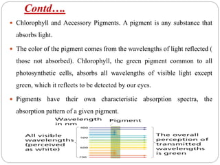 Contd….
 Chlorophyll and Accessory Pigments. A pigment is any substance that
absorbs light.
 The color of the pigment comes from the wavelengths of light reflected (
those not absorbed). Chlorophyll, the green pigment common to all
photosynthetic cells, absorbs all wavelengths of visible light except
green, which it reflects to be detected by our eyes.
 Pigments have their own characteristic absorption spectra, the
absorption pattern of a given pigment.
 