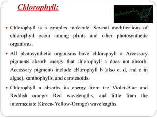Chlorophyll:
 Chlorophyll is a complex molecule. Several modifications of
chlorophyll occur among plants and other photosynthetic
organisms.
 All photosynthetic organisms have chlorophyll a Accessory
pigments absorb energy that chlorophyll a does not absorb.
Accessory pigments include chlorophyll b (also c, d, and e in
algae), xanthophylls, and carotenoids.
 Chlorophyll a absorbs its energy from the Violet-Blue and
Reddish orange- Red wavelengths, and little from the
intermediate (Green- Yellow-Orange) wavelengths.
 