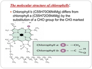 The molecular structure of chlorophylls:
 Chlorophyll b (C55H70O6N4Mg) differs from
chlorophyll a (C55H72O5N4Mg) by the
substitution of a CHO group for the CH3 marked
at position R.
 