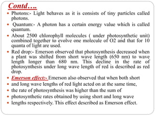 Contd….
 Photons:- Light behaves as it is consists of tiny particles called
photons.
 Quantum:- A photon has a certain energy value which is called
quantum.
 About 2500 chlorophyll molecules ( under photosynthetic unit)
combined together to evolve one molecule of O2 and that for 10
quanta of light are used.
 Red drop:- Emerson observed that photosynthesis decreased when
a plant was shifted from short wave length (650 nm) to wave
length longer than 680 nm. This decline in the rate of
photosynthesis under long wave length of red is described as red
drop.
 Emerson effect:- Emerson also observed that when both short
 and long wave lengths of red light acted on at the same time,
 the rate of photosynthesis was higher than the sum of
 photosynthetic rates obtained by using short and long wave
 lengths respectively. This effect described as Emerson effect.
 