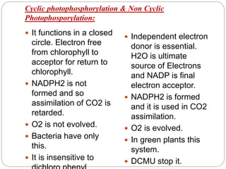 Cyclic photophosphorylation & Non Cyclic
Photophosporylation:
 It functions in a closed
circle. Electron free
from chlorophyll to
acceptor for return to
chlorophyll.
 NADPH2 is not
formed and so
assimilation of CO2 is
retarded.
 O2 is not evolved.
 Bacteria have only
this.
 It is insensitive to
 Independent electron
donor is essential.
H2O is ultimate
source of Electrons
and NADP is final
electron acceptor.
 NADPH2 is formed
and it is used in CO2
assimilation.
 O2 is evolved.
 In green plants this
system.
 DCMU stop it.
 