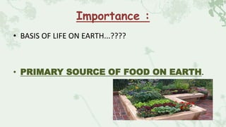 Importance :
• BASIS OF LIFE ON EARTH...????
• PRIMARY SOURCE OF FOOD ON EARTH.
 