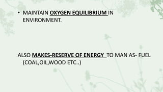 • MAINTAIN OXYGEN EQUILIBRIUM IN
ENVIRONMENT.
ALSO MAKES-RESERVE OF ENERGY TO MAN AS- FUEL
(COAL,OIL,WOOD ETC..)
 