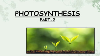 PHOTOSYNTHESIS
PART-2
 