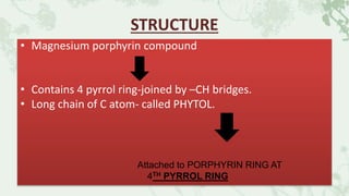 STRUCTURE
• Magnesium porphyrin compound
• Contains 4 pyrrol ring-joined by –CH bridges.
• Long chain of C atom- called PHYTOL.
Attached to PORPHYRIN RING AT
4TH PYRROL RING
 