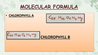 MOLECULAR FORMULA
• CHLOROPHYLL A
•CHLOROPHYLL B
 
