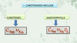 • CAROTENOIDS INCLUDE
• CAROTENES XANTHOPHYLLS
 
