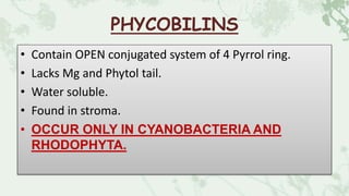 PHYCOBILINS
• Contain OPEN conjugated system of 4 Pyrrol ring.
• Lacks Mg and Phytol tail.
• Water soluble.
• Found in stroma.
• OCCUR ONLY IN CYANOBACTERIA AND
RHODOPHYTA.
 
