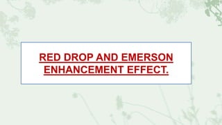RED DROP AND EMERSON
ENHANCEMENT EFFECT.
 