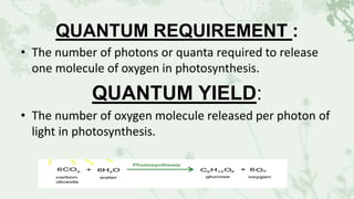 QUANTUM REQUIREMENT :
• The number of photons or quanta required to release
one molecule of oxygen in photosynthesis.
QUANTUM YIELD:
• The number of oxygen molecule released per photon of
light in photosynthesis.
 