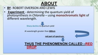 ABOUT
• BY- ROBERT EMERSON AND LEWIS
• Experiment - determining the quantum yield of
photosynthesis in Chlorella – using monochromatic light of
different wavelength.
Sharp decline in quantum yield
At wavelength greater than 680nm
red part of spectrum.
THUS THE PHENOMENON CALLED –RED
DROP
 