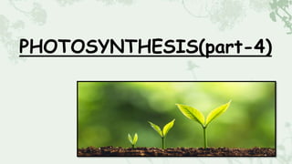 PHOTOSYNTHESIS(part-4)
 