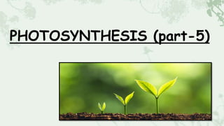 PHOTOSYNTHESIS (part-5)
 