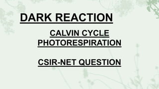 CALVIN CYCLE
PHOTORESPIRATION
CSIR-NET QUESTION
DARK REACTION
 