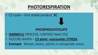 PHOTORESPIRATION
• C2 cycle – first stable product-2C
PHOSPHOGLYCOLATE
• HARMFUL PROCESS- UNFIXES fixed CO2
• OCCURS WHEN – C3 plant –encounter STRESS.
• Example- Wheat, beans, plants in temperate areas .
 