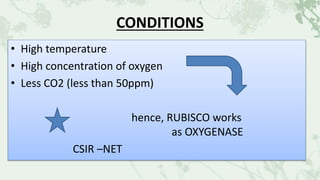 CONDITIONS
• High temperature
• High concentration of oxygen
• Less CO2 (less than 50ppm)
hence, RUBISCO works
as OXYGENASE
CSIR –NET
 