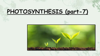 PHOTOSYNTHESIS (part-7)
 