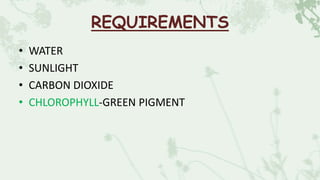 REQUIREMENTS
• WATER
• SUNLIGHT
• CARBON DIOXIDE
• CHLOROPHYLL-GREEN PIGMENT
 