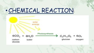 •CHEMICAL REACTION:
 