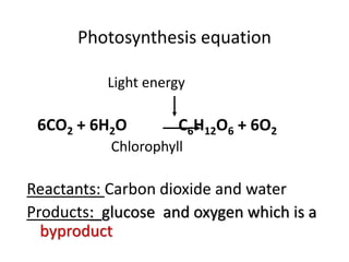 Photosynthesis equation
Light energy
6CO2 + 6H2O C6H12O6 + 6O2
Chlorophyll
Reactants: Carbon dioxide and water
Products: glucose and oxygen which is a
byproduct
 