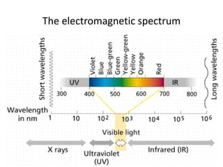 The electromagnetic spectrum
 