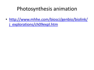 Photosynthesis animation
• http://www.mhhe.com/biosci/genbio/biolink/
j_explorations/ch09expl.htm
 