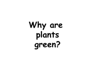 Why are
plants
green?
 