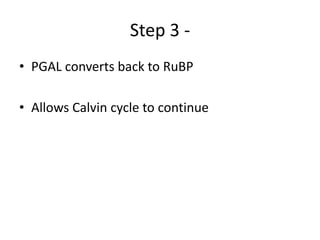 Step 3 -
• PGAL converts back to RuBP
• Allows Calvin cycle to continue
 
