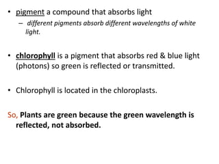 • pigment a compound that absorbs light
– different pigments absorb different wavelengths of white
light.
• chlorophyll is a pigment that absorbs red & blue light
(photons) so green is reflected or transmitted.
• Chlorophyll is located in the chloroplasts.
So, Plants are green because the green wavelength is
reflected, not absorbed.
 