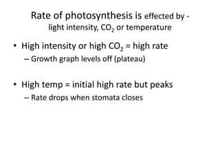 Rate of photosynthesis is effected by -
light intensity, CO2 or temperature
• High intensity or high CO2 = high rate
– Growth graph levels off (plateau)
• High temp = initial high rate but peaks
– Rate drops when stomata closes
 
