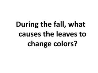 During the fall, what
causes the leaves to
change colors?
 
