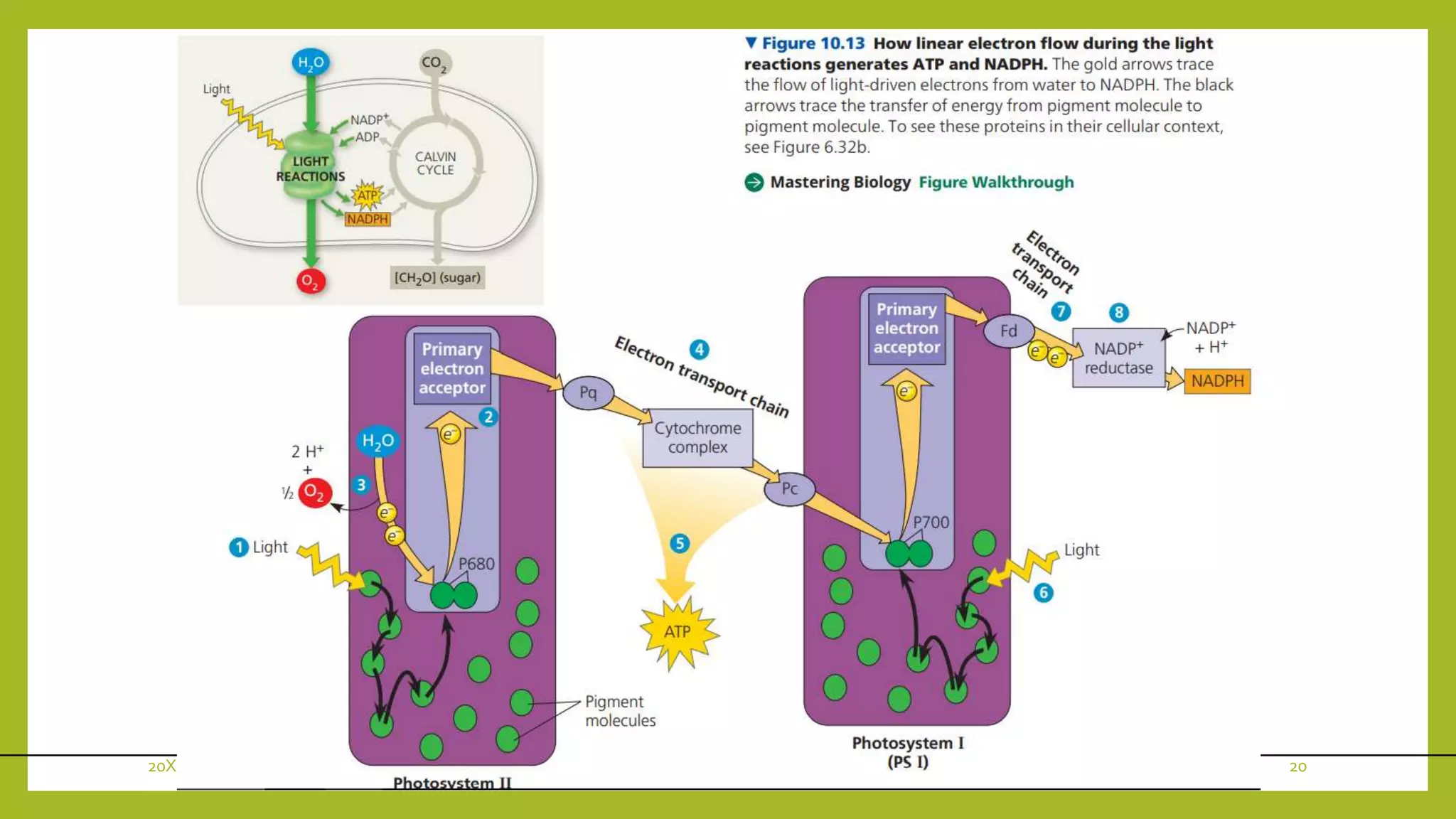 20XX presentation title 20
 