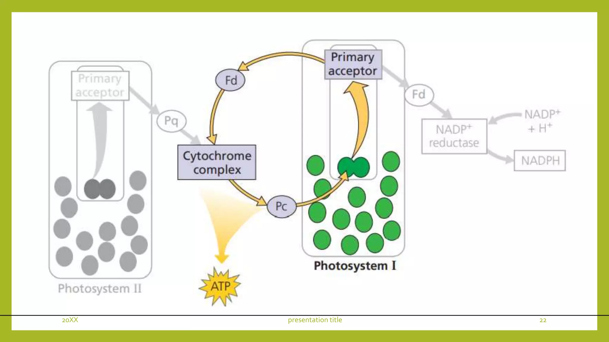 20XX presentation title 22
 