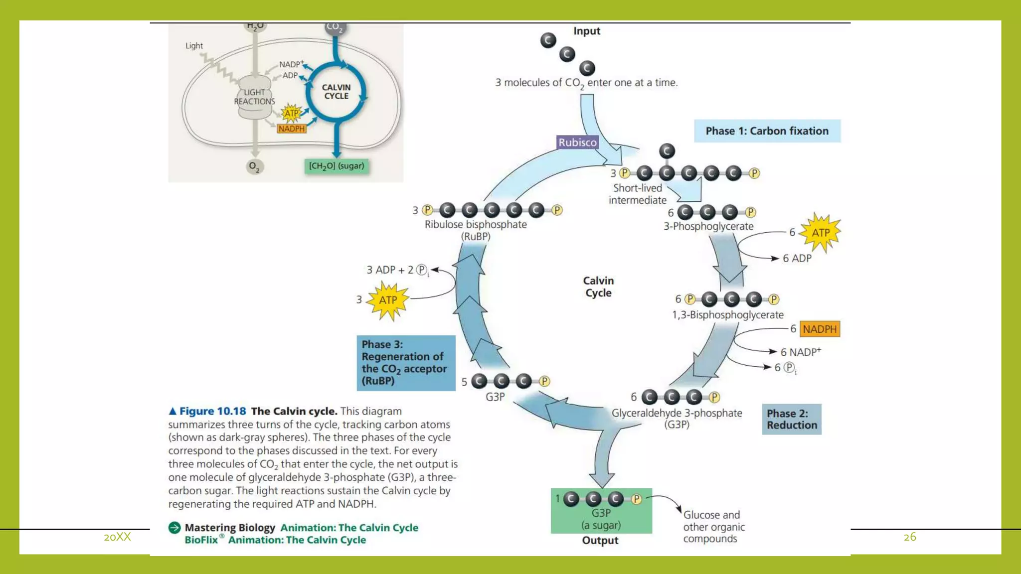 20XX presentation title 26
 