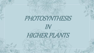PHOTOSYNTHESIS
IN
HIGHER PLANTS
 