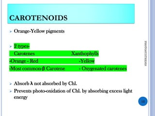 CAROTENOIDS
➢ Orange-Yellow pigments
➢ 2 types-
Carotenes Xanthophylls
-Orange - Red -Yellow
-Most common-β Carotene - Oxygenated carotenes
➢ Absorb λ not absorbed by Chl.
➢ Prevents photo-oxidation of Chl. by absorbing excess light
energy
12
PHOTOSYNTHESIS
 