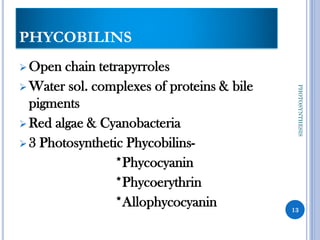 PHYCOBILINS
➢ Open chain tetrapyrroles
➢ Water sol. complexes of proteins & bile
pigments
➢ Red algae & Cyanobacteria
➢ 3 Photosynthetic Phycobilins-
*Phycocyanin
*Phycoerythrin
*Allophycocyanin 13
PHOTOSYNTHESIS
 