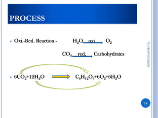 PROCESS
➢ Oxi.-Red. Reaction - H2O oxi O2
CO2 red. Carbohydrates
➢ 6CO2+12H2O C6H12O6+6O2+6H2O
14
PHOTOSYNTHESIS
 