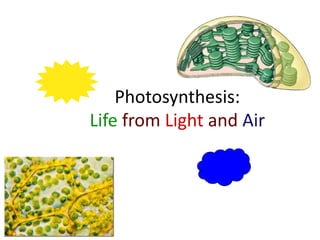 Photosynthesis:
Life from Light and Air
 