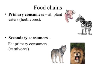 photosynthesis..pptaaaaaaaaaaaaaaaaaaaaaaaaaaaaa | PPT