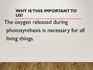 WHY ISTHIS IMPORTANTTO
US?
The oxygen released during
photosynthesis is necessary for all
living things.
 