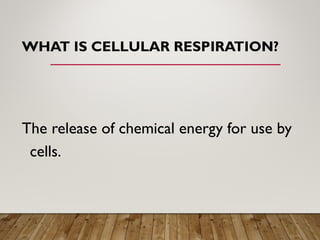 WHAT IS CELLULAR RESPIRATION?
The release of chemical energy for use by
cells.
 