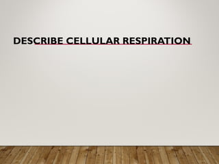 DESCRIBE CELLULAR RESPIRATION
 