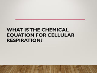 WHAT ISTHE CHEMICAL
EQUATION FOR CELLULAR
RESPIRATION?
 