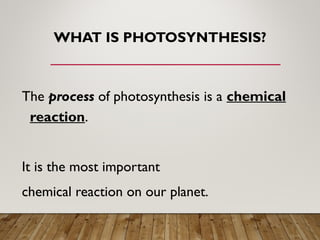 WHAT IS PHOTOSYNTHESIS?
The process of photosynthesis is a chemical
reaction.
It is the most important
chemical reaction on our planet.
 