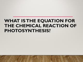 WHAT ISTHE EQUATION FOR
THE CHEMICAL REACTION OF
PHOTOSYNTHESIS?
 